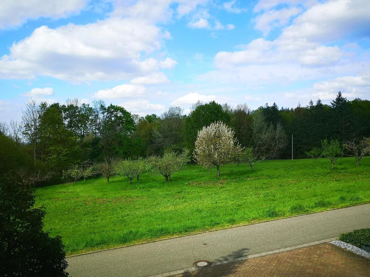 Ein Appartement Und Ein Komfortzimmer In Malsch, Zwischen Karlsruhe, Rastatt Und Baden-Baden Malsch  المظهر الخارجي الصورة